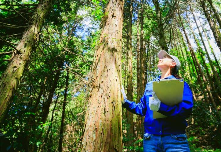 Forestry-Programs