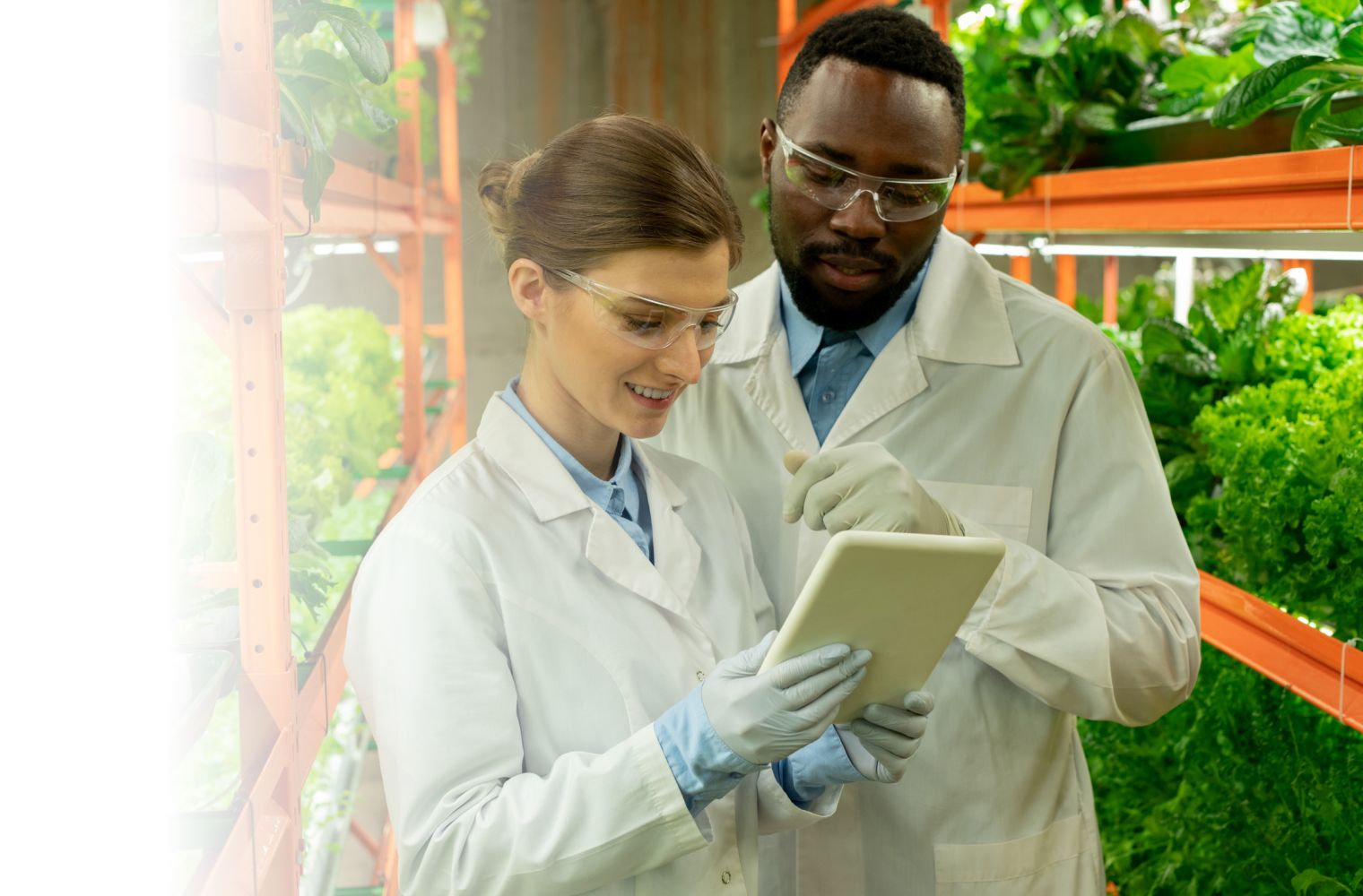 Two researchers, a male and a female, analyzing data on a digital tablet in an advanced greenhouse surrounded by vibrant green vegetation. Both are dressed in lab coats and protective gloves.