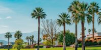 A landscaped golf course lined with tall palm trees under a clear blue sky, with mountains in the distant background. A modern, single-story building with large windows and a manicured garden is on the right.