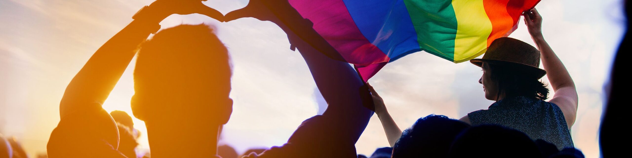 Silhouettes of people celebrating at an outdoor event. One person forms a heart shape with their hands while another holds a large rainbow flag, proudly representing the LGBTQIA+ community. The scene is brightly lit, suggesting a joyful and vibrant atmosphere.